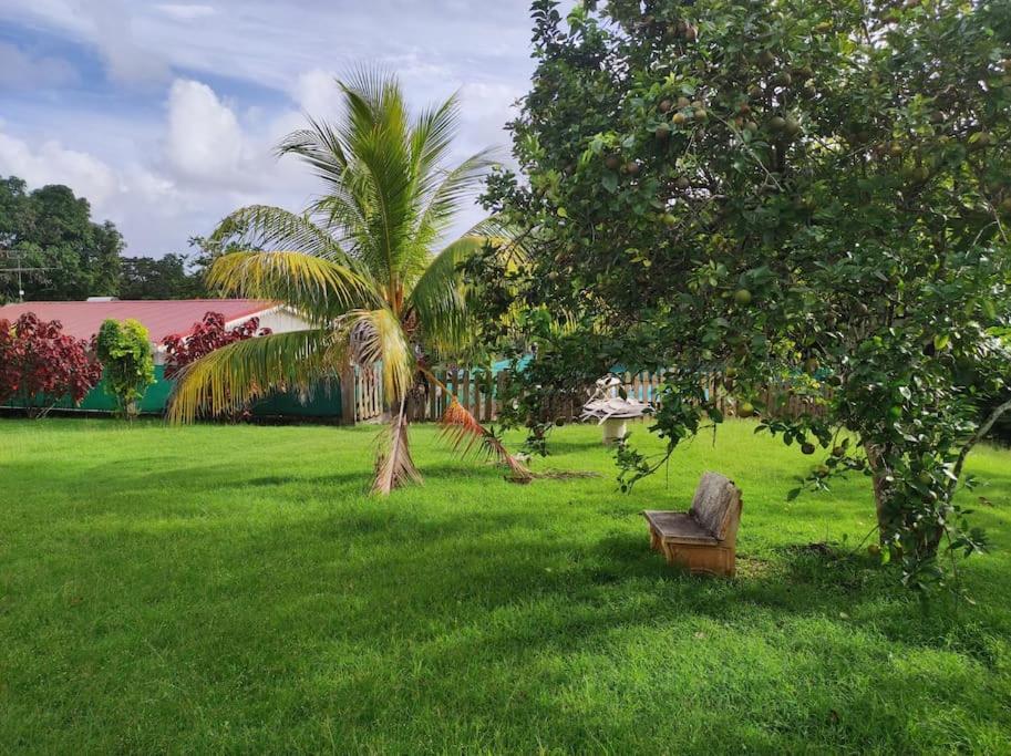 Villa Familiale Avec Piscine Le Marin エクステリア 写真