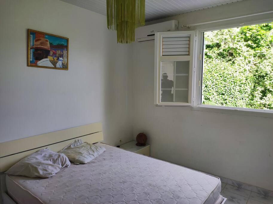 Villa Familiale Avec Piscine Le Marin エクステリア 写真